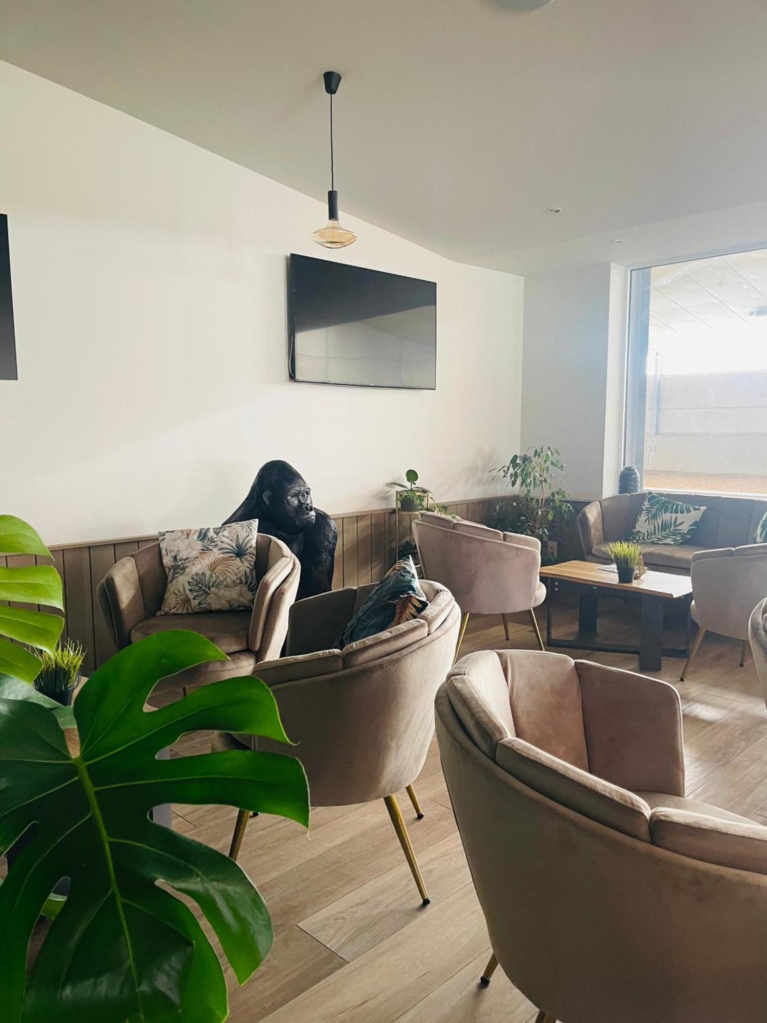 Equus B&B Bredene Bagian luar foto