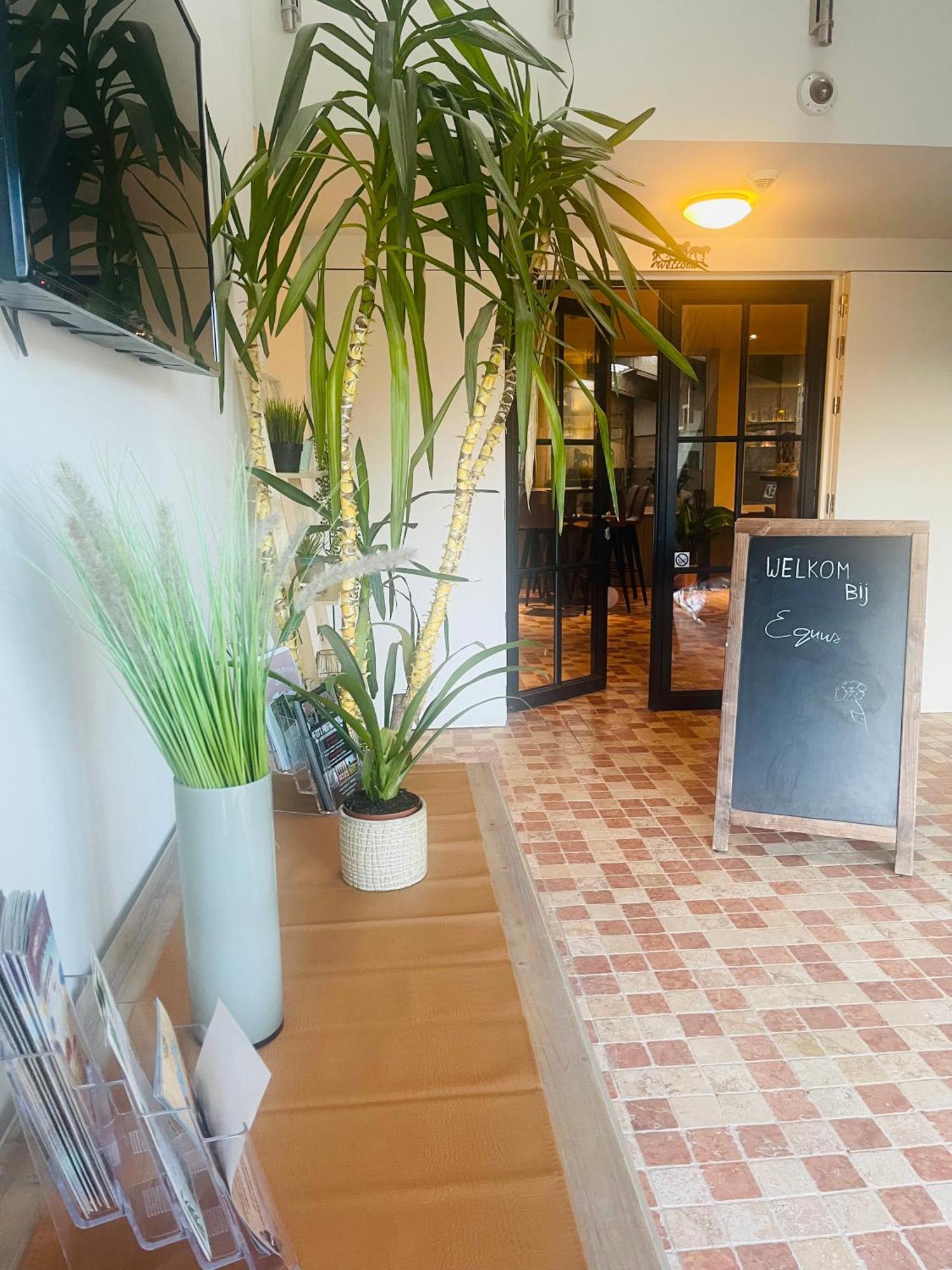 Equus B&B Bredene Bagian luar foto
